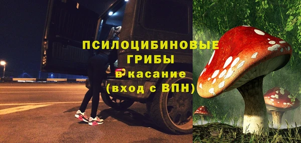 стафф Баксан