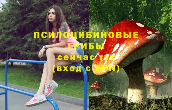 дмт Балахна