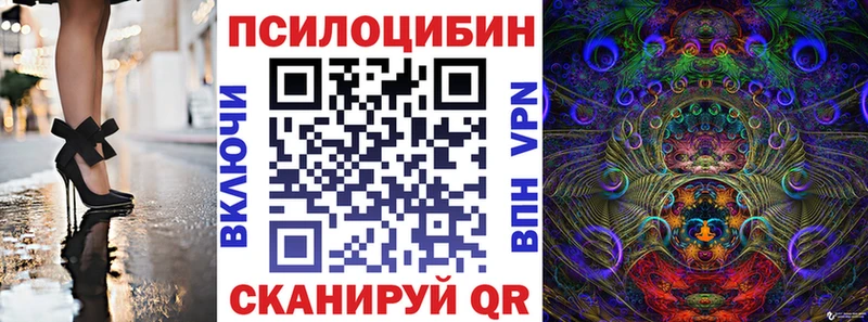 наркота  Лакинск  Галлюциногенные грибы Cubensis 